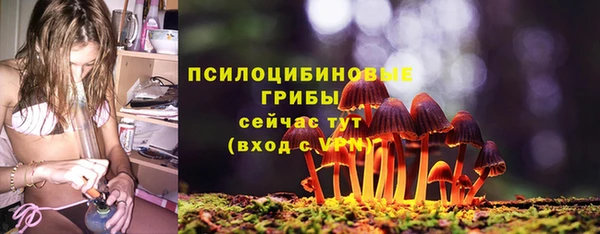 гидра Пестово
