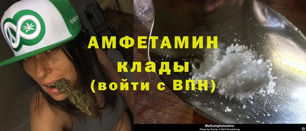 гидра Пестово