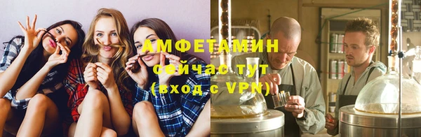 гидра Пестово