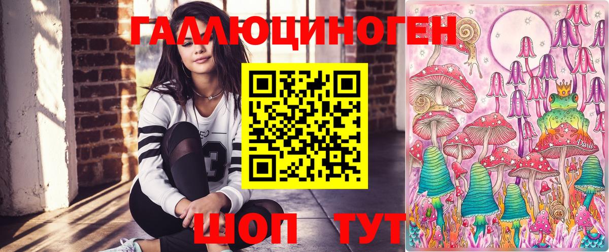 Псилоцибиновые грибы Psilocybine cubensis  Галлюциногенные грибы прущие грибы  Кувандык 