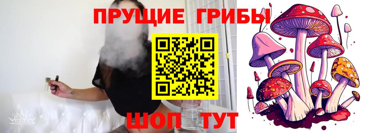 МЕФ   МЕТ  Кокаин  Экстази  APVP СК   Вход с VPN  Кувандык  ГАШИШ  МАРИХУАНА 