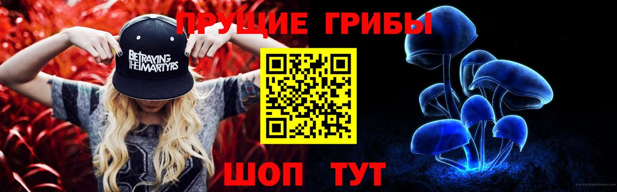 Кувандык  наркошоп  Вход с VPN  Псилоцибиновые грибы мухоморы 