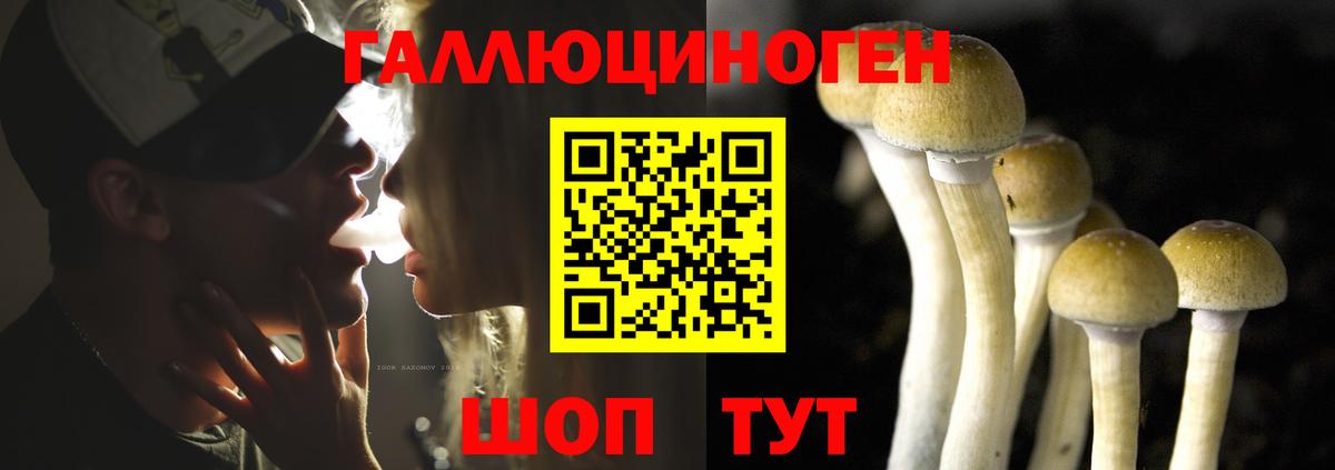 Кетамин  Где найти наркотики?  COCAIN  Каннабис  МЕФ   Кувандык  ГАШ  Мефедрон кристаллы  Alpha PVP СК  